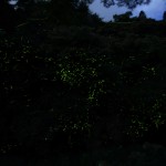 2014_06_12③
