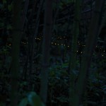 2015_06_09③