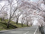 陽だまりの丘公園