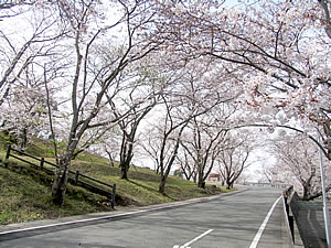 陽だまりの丘公園