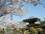 千葉城址
