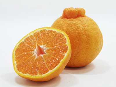 農産品 柑橘 デコポン5kg